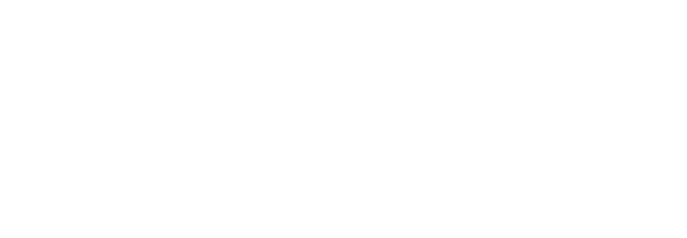 Precision Laser Mark