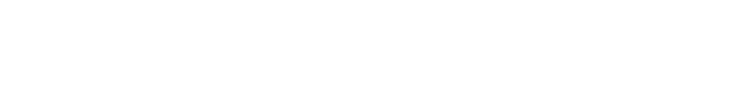 Precision Laser Mark